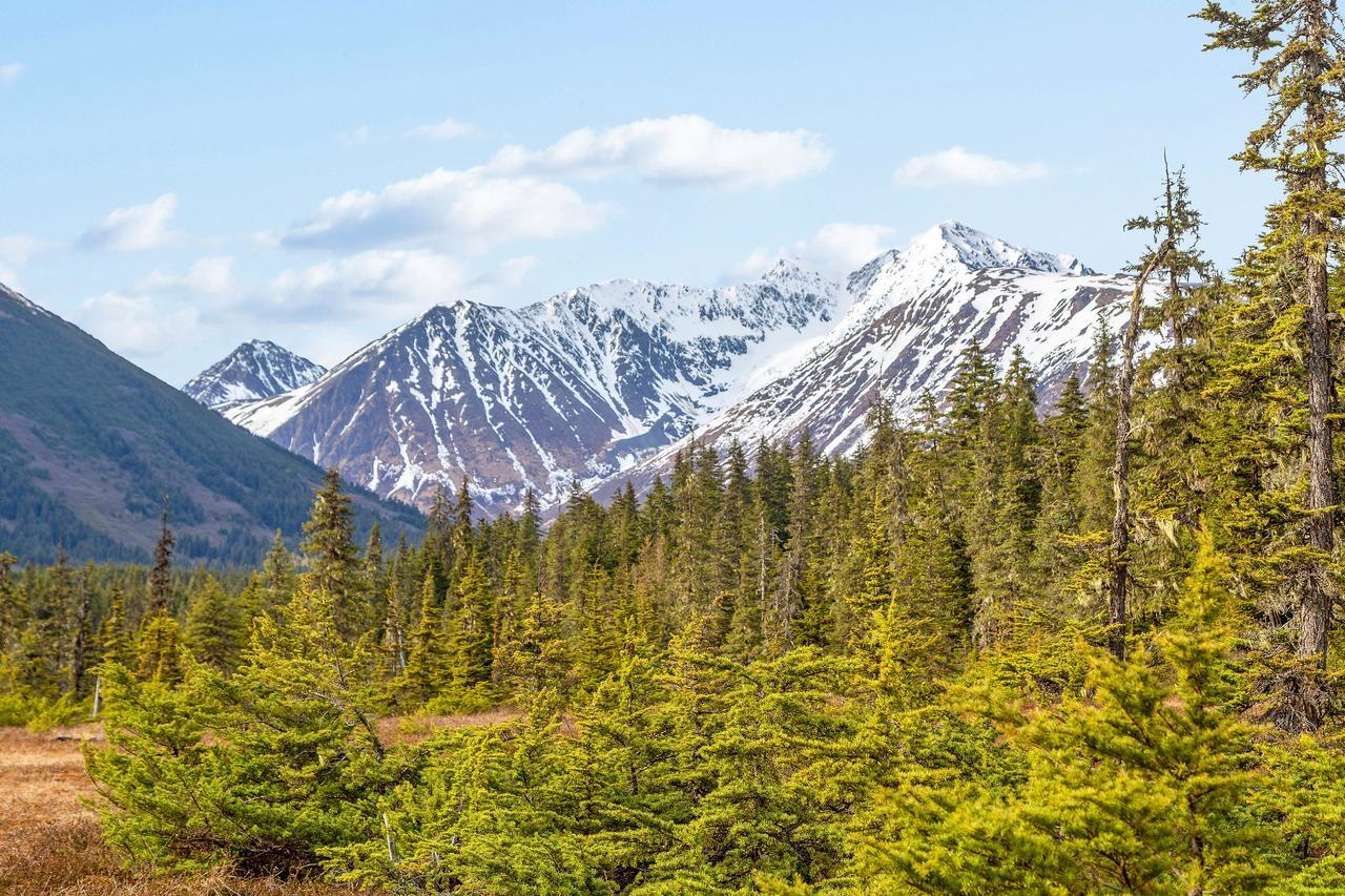 Snowbird Chalet #5 Girdwood Luaran gambar